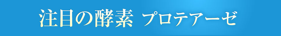 注目の酵素 プロテアーゼ