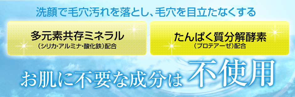 洗顔で毛穴汚れを落とし、毛穴を目立たなくする　【多元素共存ミネラル】（シリカ・アルミナ・酸化鉄）配合／【たんぱく質分解酵素】（プロテアーゼ）配合　お肌に不要な成分は不使用